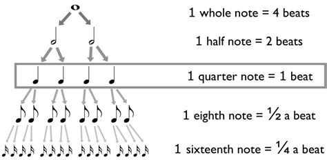 what is a back beat in music? how does it influence the rhythm of a song?